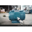 冷卻塔專用電機(jī)